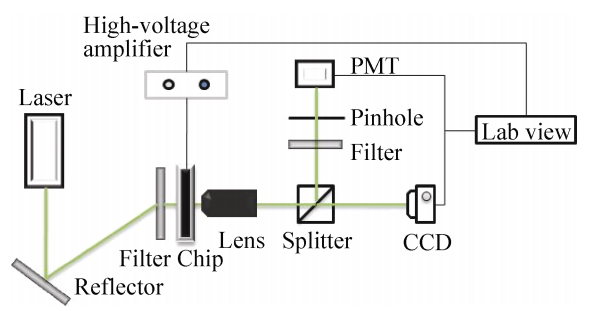 功率放大器在微流控芯片測試中的應用