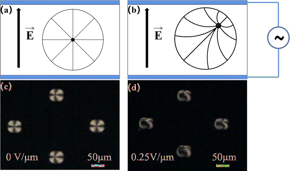 液晶液滴狀態(tài)