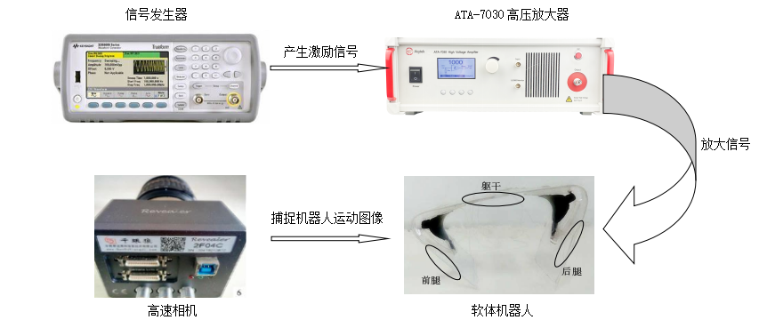 功率放大器在驅動介電彈性體機器人的應用 功率放大器在驅動介電彈性體機器人的應用
